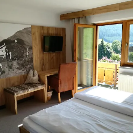 Haus Alpina 3*