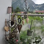 Penzion Haus Alpina 3*